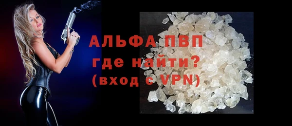 прущие грибы Медногорск