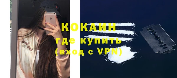 прущие грибы Медногорск