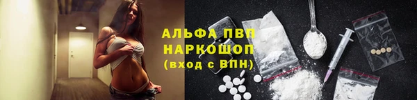 хмурый Мегион
