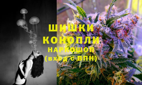 СК Зеленокумск