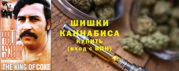 ALPHA-PVP Инсар