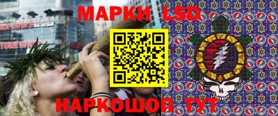 индика Кимры