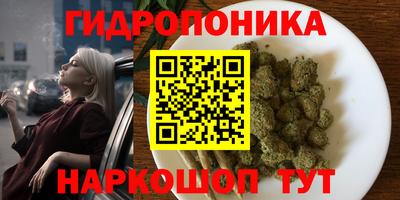 индика Кимры
