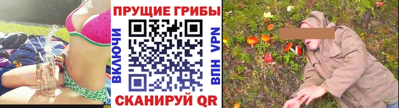 Галлюциногенные грибы Psilocybine cubensis сайты даркнета наркотические препараты Карасук где найти