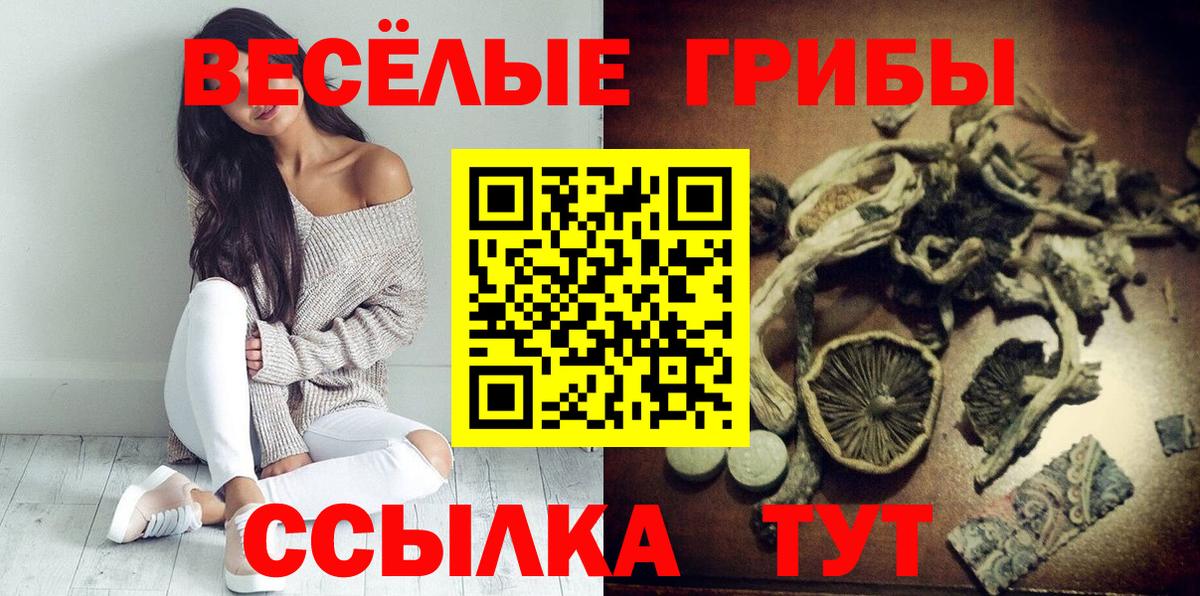 Карасук  Псилоцибиновые грибы MAGIC MUSHROOMS  Вход с VPN  Псилоцибиновые грибы ЛСД 