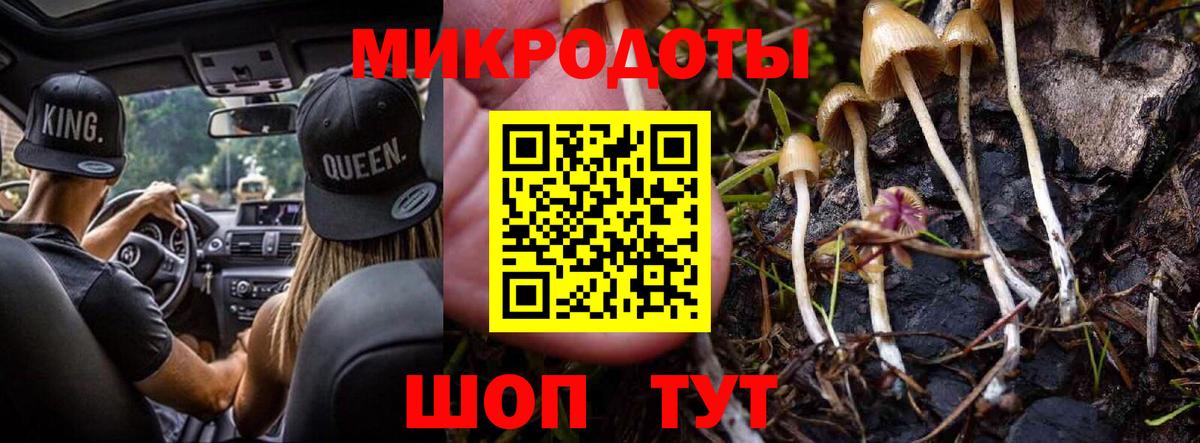 Псилоцибиновые грибы ЛСД Карасук