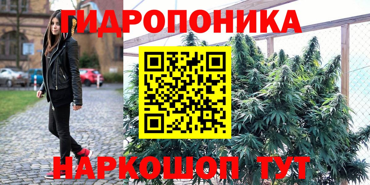 Конопля Ganja  Бошки Шишки AK-47  Карасук  Шишки марихуана SATIVA & INDICA 